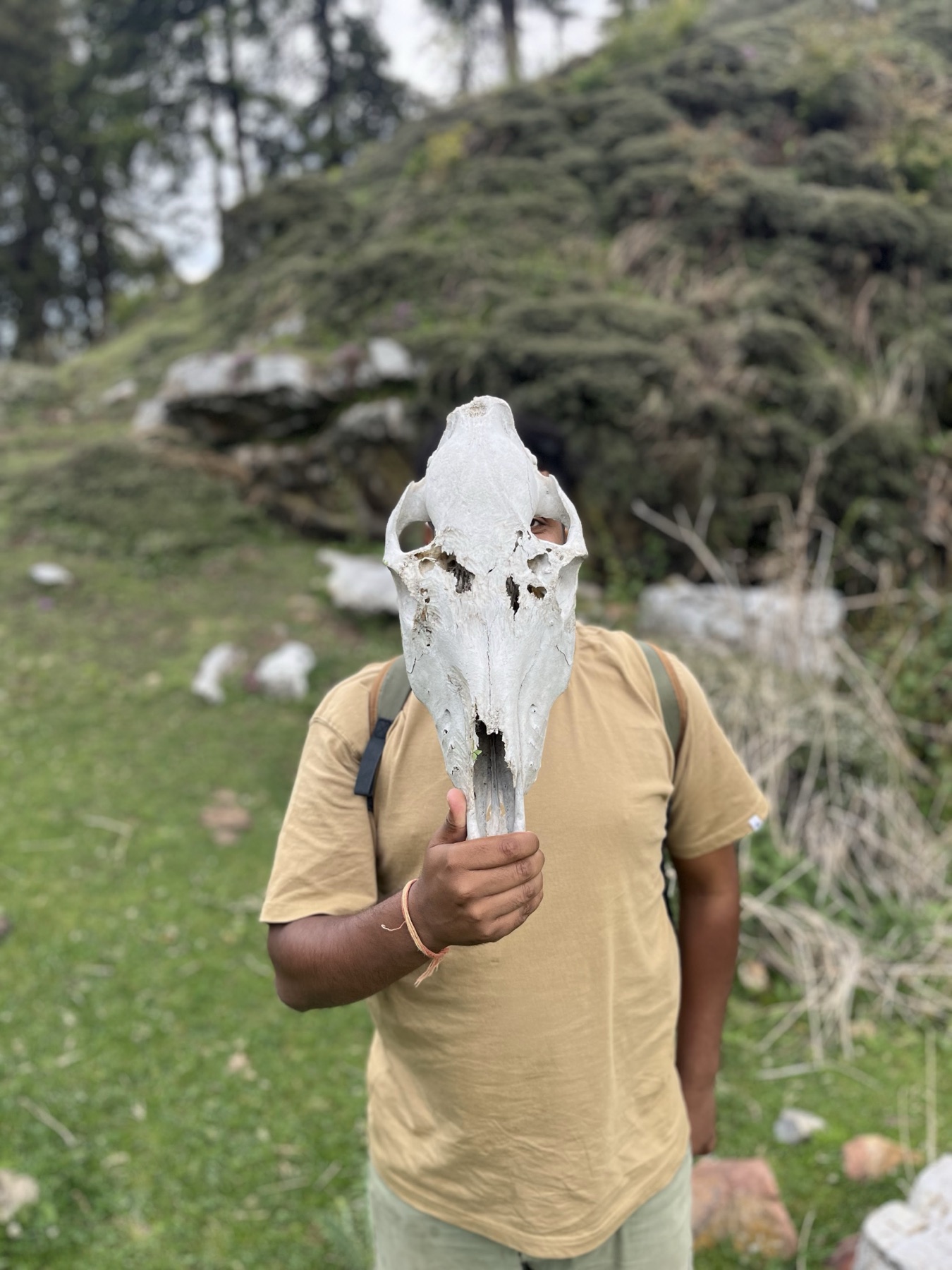 Ankit playfully holding an animal skull found on a trail